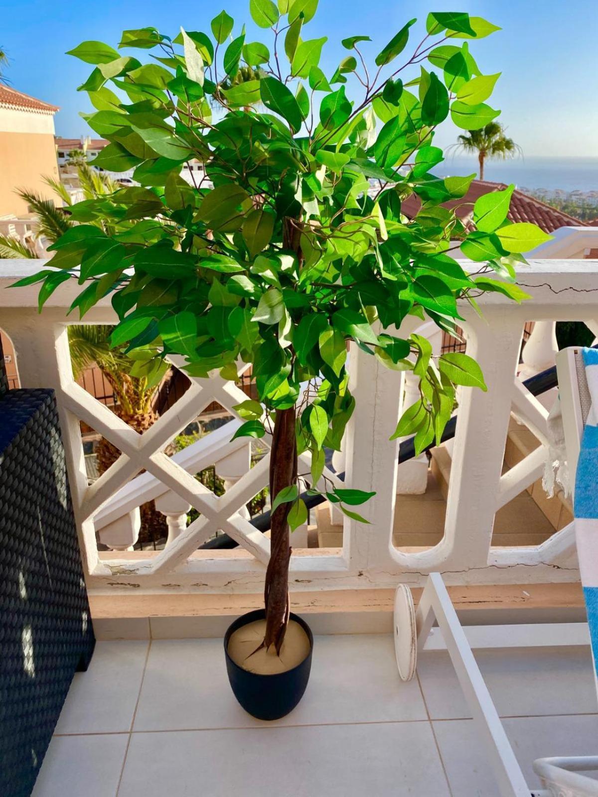 Passione Beautiful Apartment With Sea View Costa Adeje  Buitenkant foto
